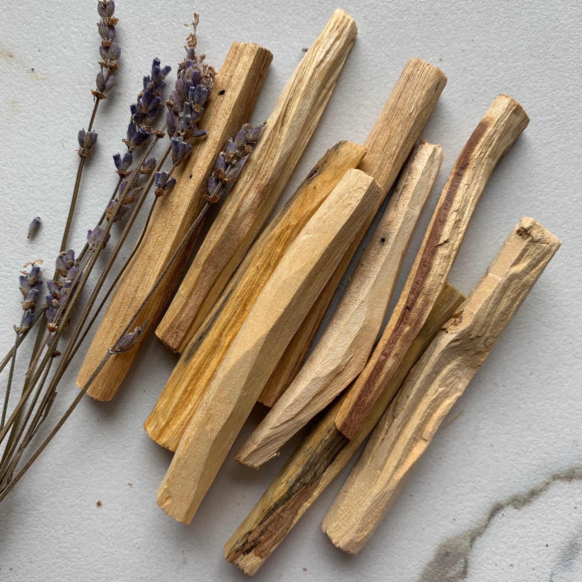 Palo Santo Bundle