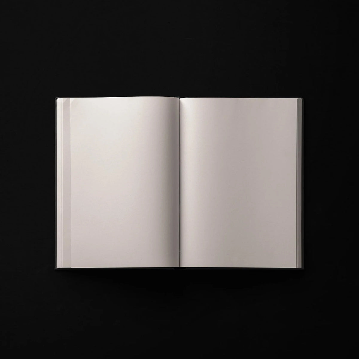 Sun & Moon Blank Journal