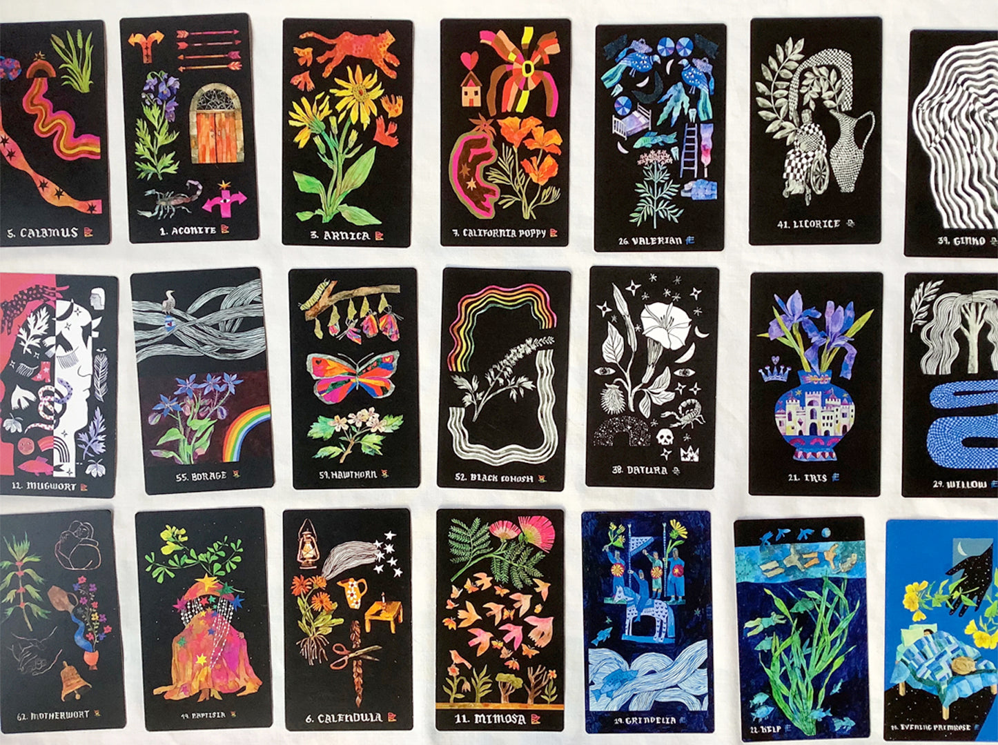 Dirt Gems ~ A Botanical Oracle Deck