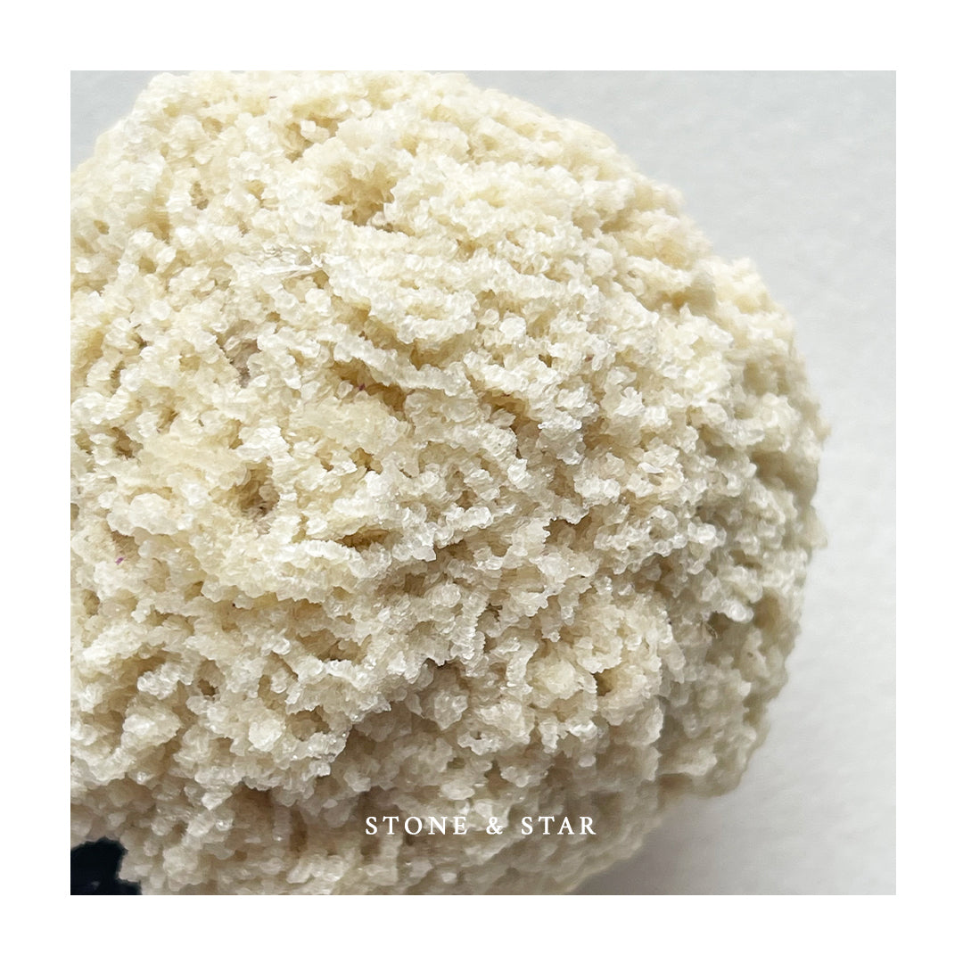Single Scoop Elmwood Barite on Sphalerite