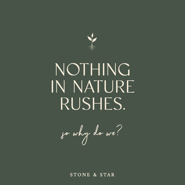 Nothing in Nature Rushes...