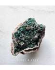 Botryodial Malachite with Quartz on Matrix