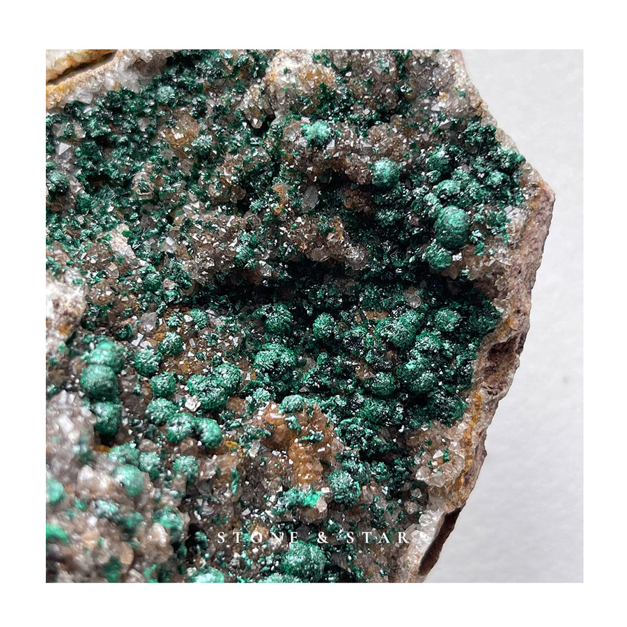 Botryodial Malachite with Quartz on Matrix