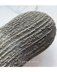 The Peanut: Pyrite Concretion