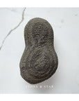 The Peanut: Pyrite Concretion