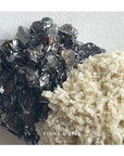 Elmwood Barite on Sphalerite